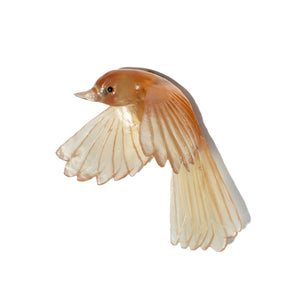 Pīwakawaka / Fantail - wings down