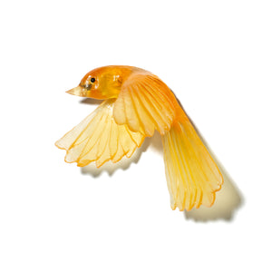 Pīwakawaka / Fantail - wings down