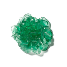 Load image into Gallery viewer, Camellia
