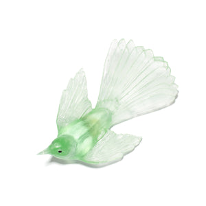 Pīwakawaka / Fantail