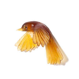 Pīwakawaka / Fantail - wings down