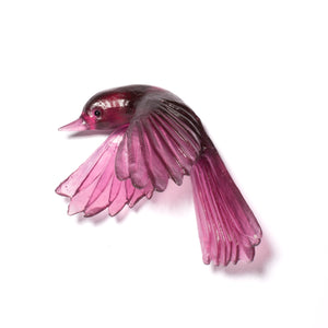 Pīwakawaka / Fantail - wings down