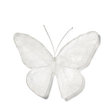 Load image into Gallery viewer, Kinetic Mount Butterfly - Monarch / Kakahu (large)
