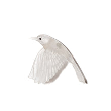 Load image into Gallery viewer, Pōpokotea / Whitehead
