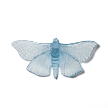 Load image into Gallery viewer, Pūriri Moth
