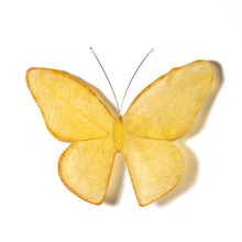 Load image into Gallery viewer, Kinetic Mount Butterfly - Monarch / Kakahu (large)
