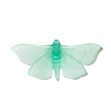 Load image into Gallery viewer, Pūriri Moth
