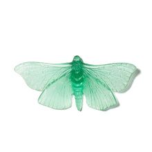 Load image into Gallery viewer, Pūriri Moth
