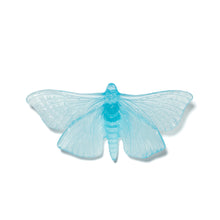 Load image into Gallery viewer, Pūriri Moth
