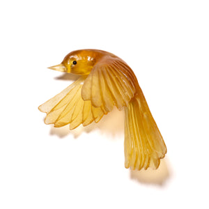 Pīwakawaka / Fantail - wings down