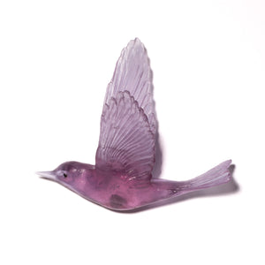 Pipiwharauroa / Shining Cuckoo