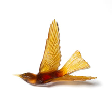 Load image into Gallery viewer, Korimako - wings back / Bellbird
