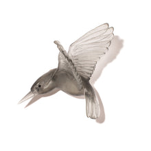 Load image into Gallery viewer, Kōtare / Kingfisher
