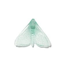 Load image into Gallery viewer, Pūriri Moth - Wings In
