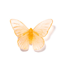 Load image into Gallery viewer, Classic Mount Butterfly - Monarch
