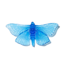 Load image into Gallery viewer, Pūriri Moth
