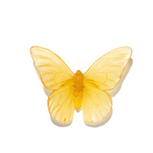 Load image into Gallery viewer, Classic Mount Butterfly - Monarch
