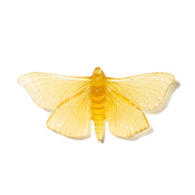 Load image into Gallery viewer, Pūriri Moth
