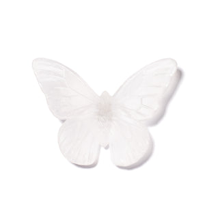 Classic Mount Butterfly - Monarch