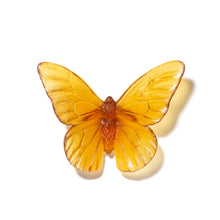 Load image into Gallery viewer, Classic Mount Butterfly - Monarch
