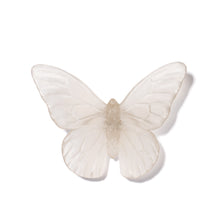 Load image into Gallery viewer, Classic Mount Butterfly - Monarch
