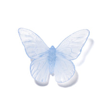 Load image into Gallery viewer, Classic Mount Butterfly - Monarch
