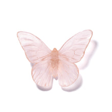 Load image into Gallery viewer, Classic Mount Butterfly - Monarch
