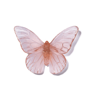 Classic Mount Butterfly - Monarch