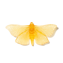 Load image into Gallery viewer, Pūriri Moth
