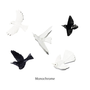 5 Bird Flock