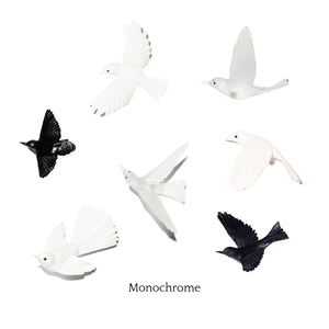 7 Bird Flocks
