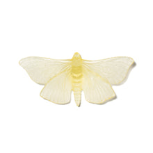 Load image into Gallery viewer, November - Citrine
