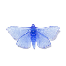 Load image into Gallery viewer, Pūriri Moth
