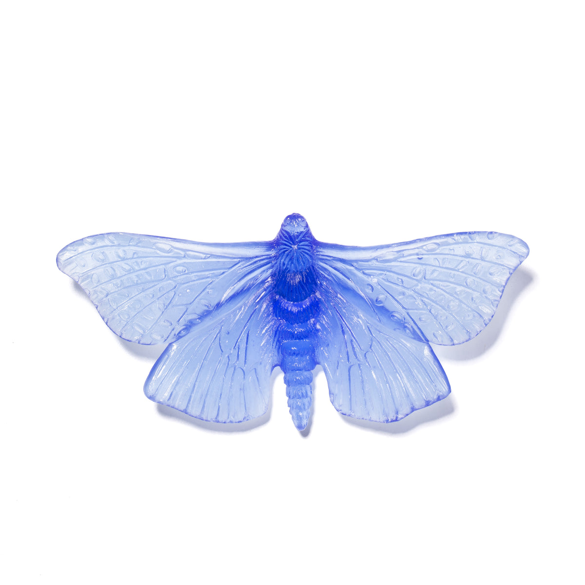 Pūriri Moth – Luke Jacomb Studio - Lukeke