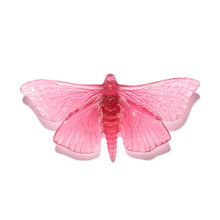Load image into Gallery viewer, Pūriri Moth
