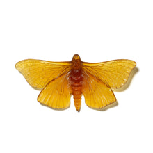 Load image into Gallery viewer, Pūriri Moth
