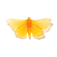 Load image into Gallery viewer, Pūriri Moth

