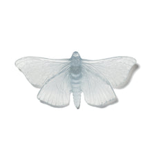 Load image into Gallery viewer, Pūriri Moth
