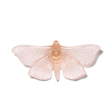 Load image into Gallery viewer, Pūriri Moth
