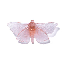 Load image into Gallery viewer, Pūriri Moth
