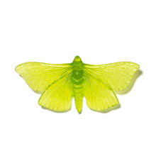 Load image into Gallery viewer, Pūriri Moth
