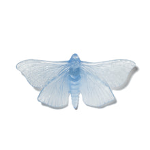 Load image into Gallery viewer, Pūriri Moth
