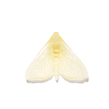 Load image into Gallery viewer, Pūriri Moth - Wings In
