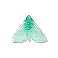 Load image into Gallery viewer, Pūriri Moth - Wings In
