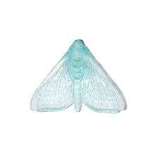 Load image into Gallery viewer, Pūriri Moth - Wings In
