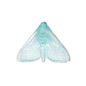 Pūriri Moth - Wings In
