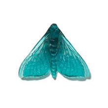 Load image into Gallery viewer, Pūriri Moth - Wings In
