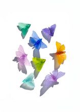 Load image into Gallery viewer, Pūriri Moth - Wings In
