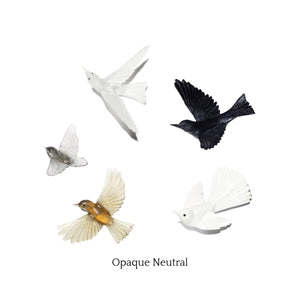 5 Bird Flock