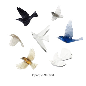 7 Bird Flocks